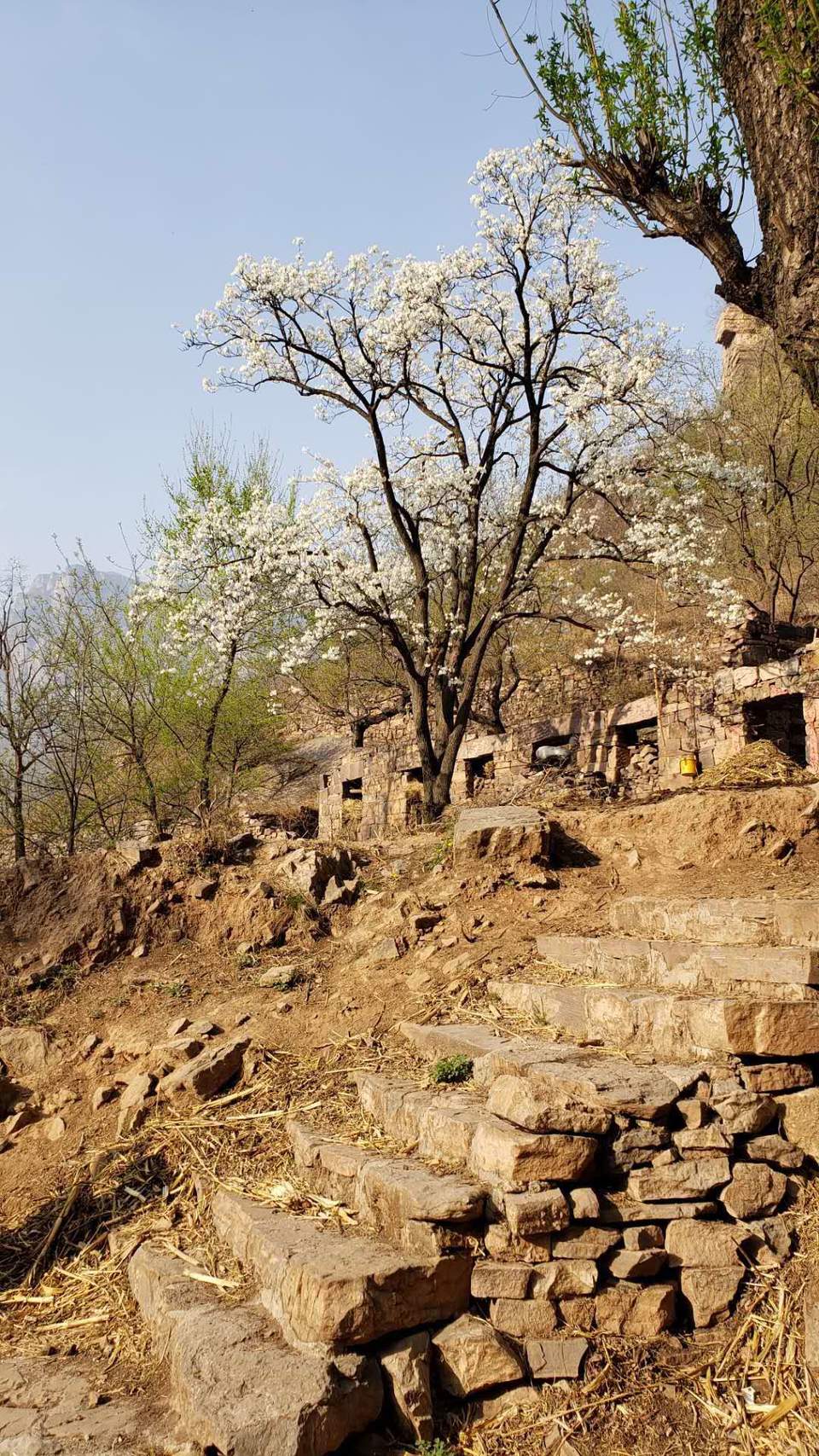 NDUMTERqA4_XW37TrAiKYEKwjRzQ_uV9tXMvlaX1ksD-VCXb8An4IWnxuRS0MKWB