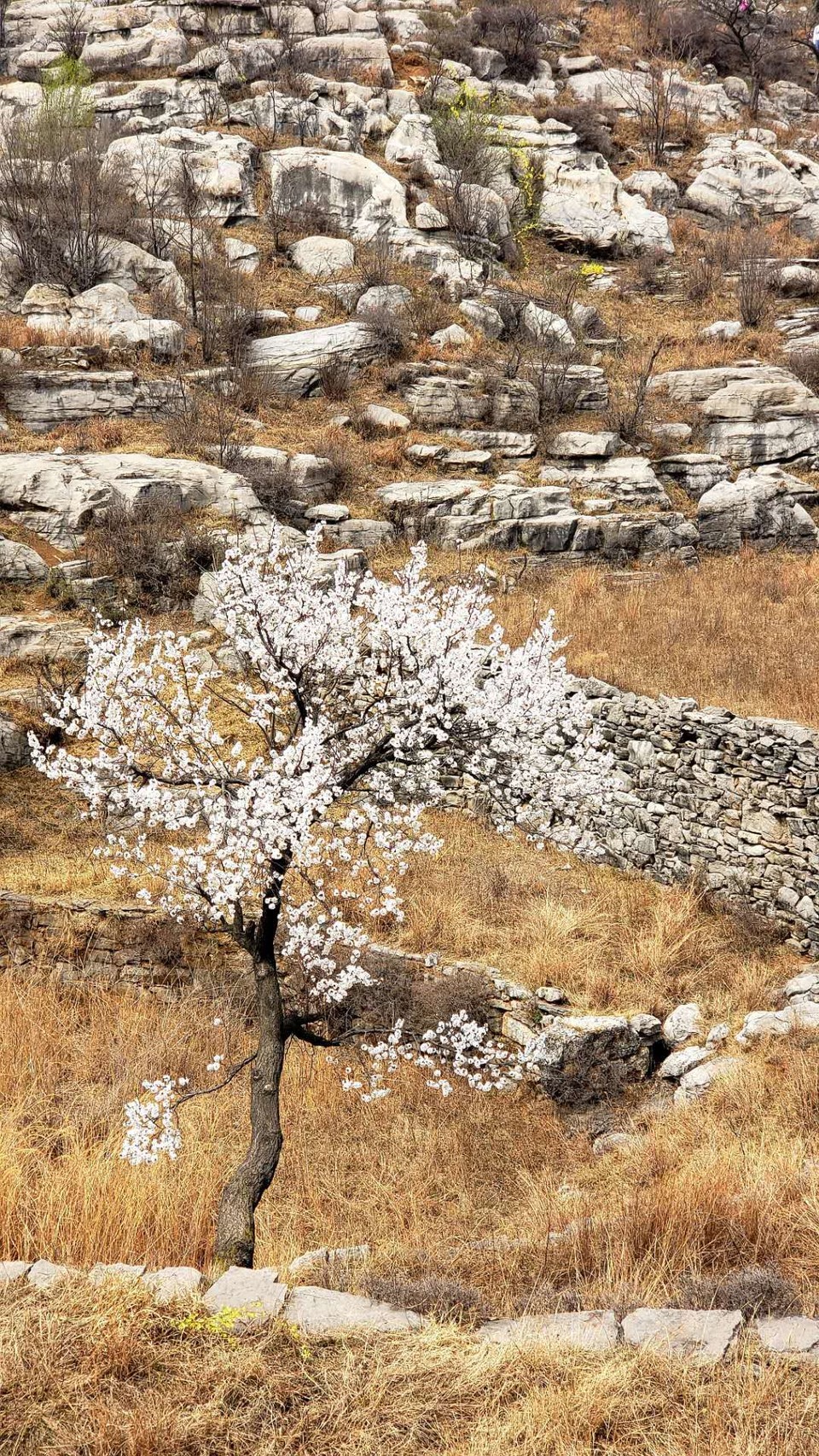 atzpgaZONXjFqLQJ2yPt29dJ8kao8dfsPOANJ92r9IGl5MCqYHb-JX4e5k4YQg1H