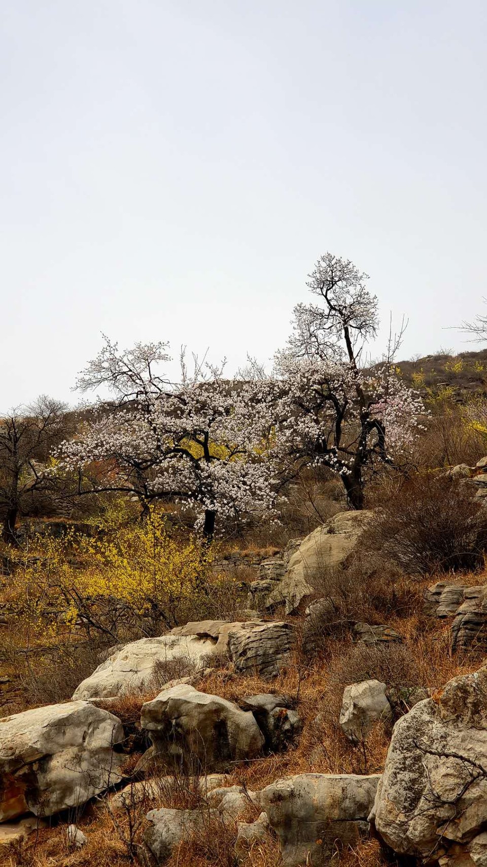 Q6JUEn-qlNJw1925g1655azLWVfjwlnbmYof3QKClg22I6g-FDONBYQ7ayUf-ZTL