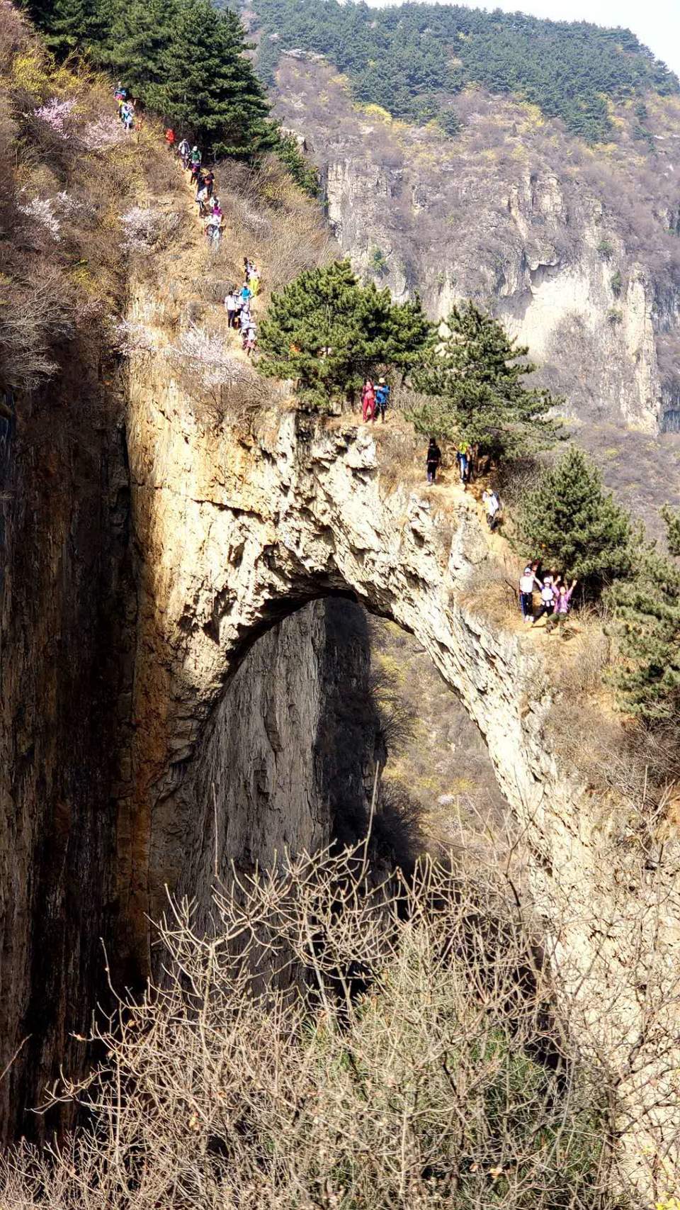 jYnuhBiIo5Q19mNlue5j7oQfVC2eBdEzY6jueCkjEkmwsEK5qO8qGlEvtBe-PGmi