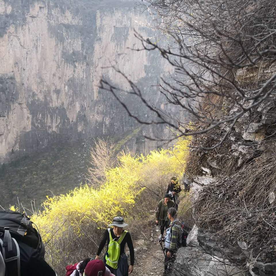 5LHJ1eW9Prc4dPhCcRO3on9gk0y0P4hrrS9IOwJDd4MBbinbkT8iE5RcwVEOGKNN