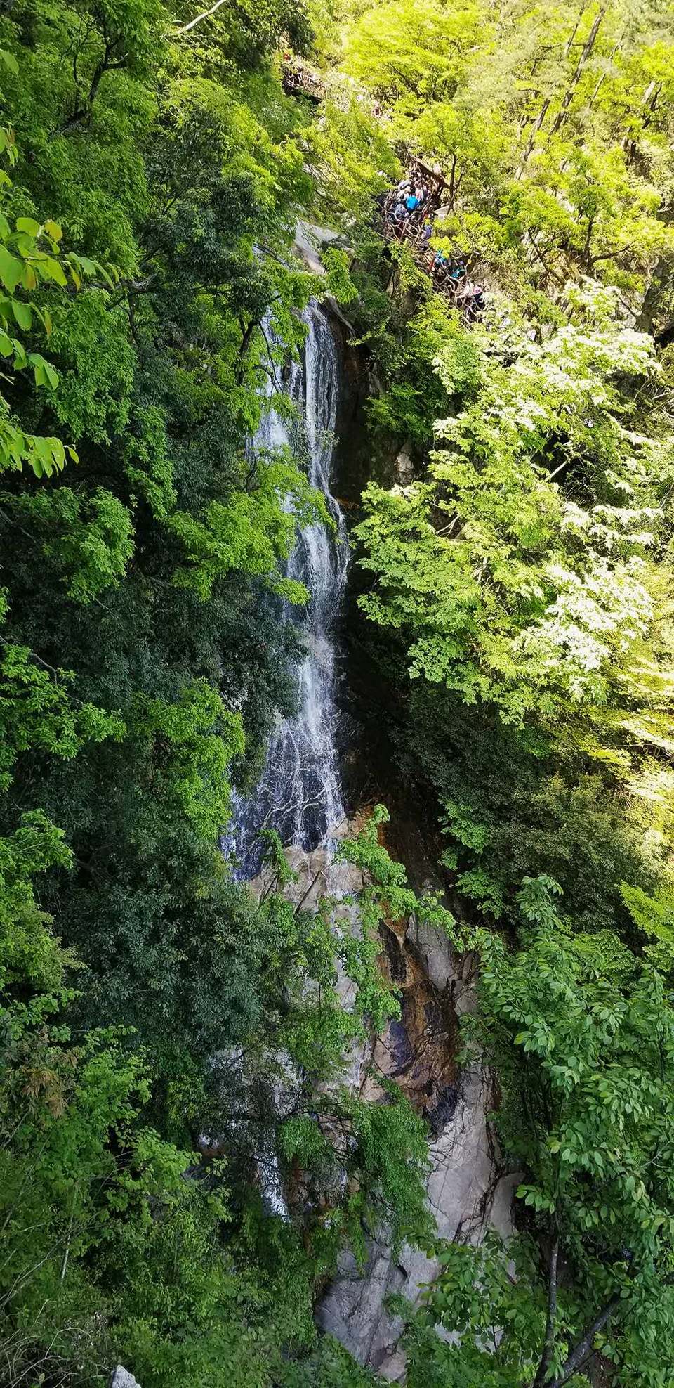 l8JmsqqrINL2alwC7wcqpDEGfUuX5mrd6yNUHhw-4rPNkLdcvg0NTkEXOGdwDEZz