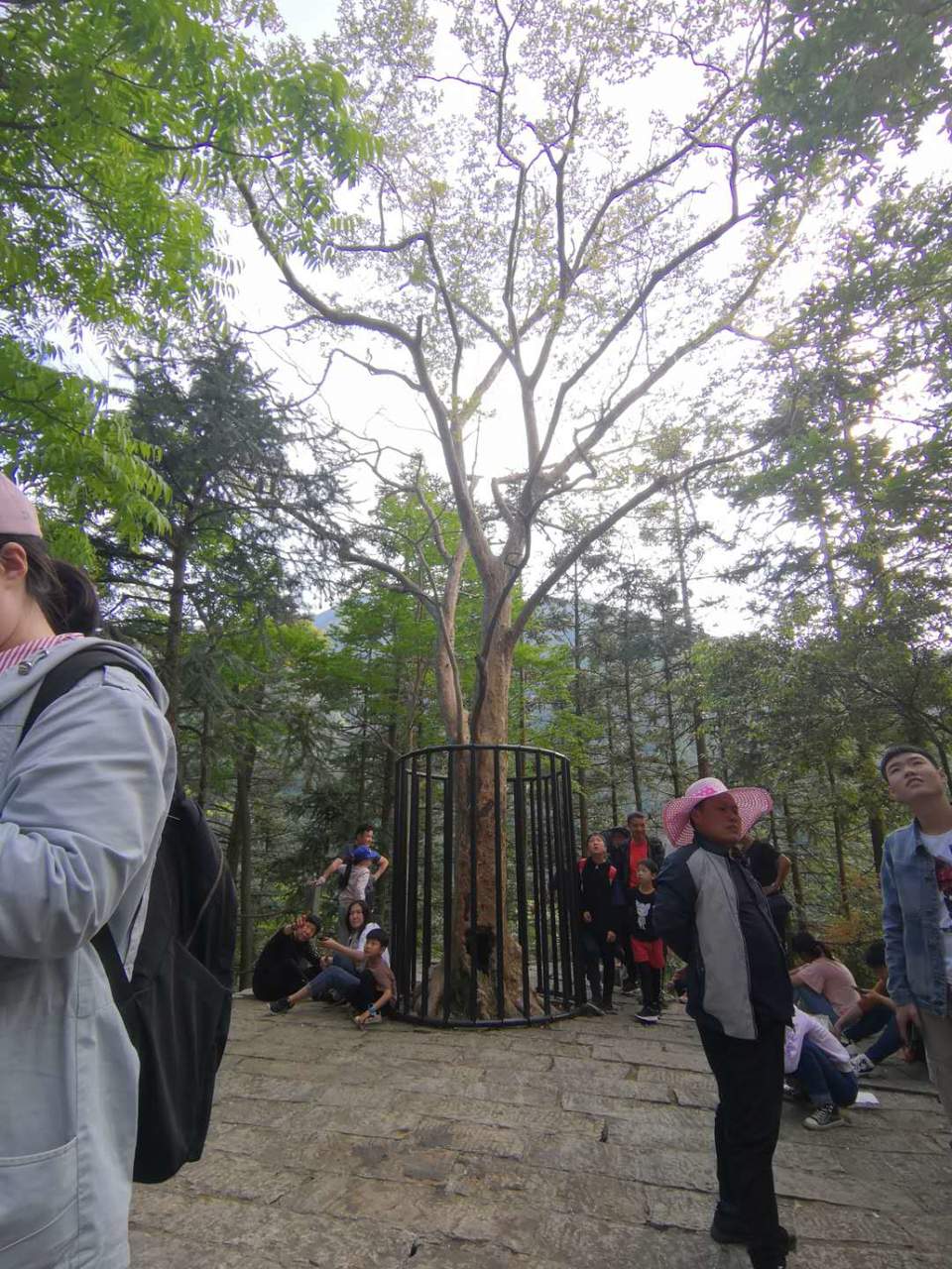 0LA0VxVUHQZJoEQt7-uLYsPyroUfkFktHf5QekM5Cs6opgYoKFlS5pjPeap-wRjp