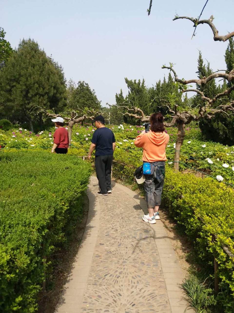 hdwZuYRWgJFO5WBsk-BLavj93Bxdor1suXU-xZssvrGtDQ2-yYrQNhP5vUfDIB1K