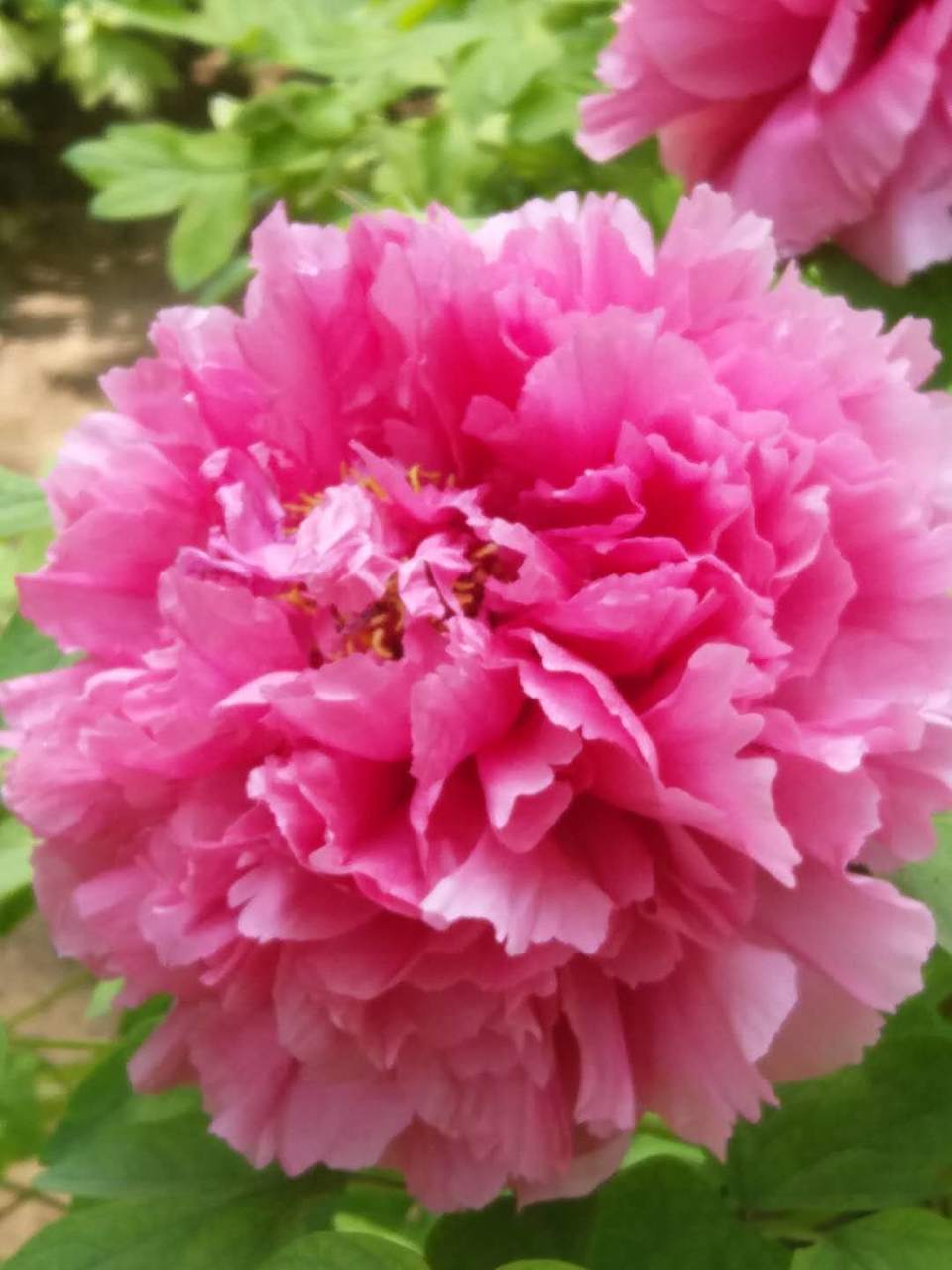 k4zR3qKDq16ZwiVd61LNqPn7_mJ05ctZOxBSPGxDivqU6ZPJYSB23aS0CFtUhEWr