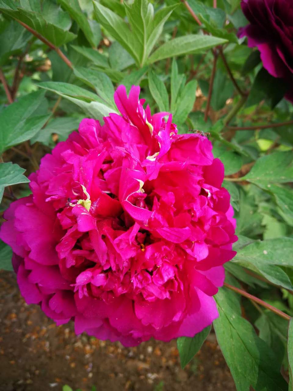 Spvgx-2YNQbOzc27IvU4kVfdYht27-6rnniEXzpxOv_uI2SrdKFuVlC1wy6zVLzp