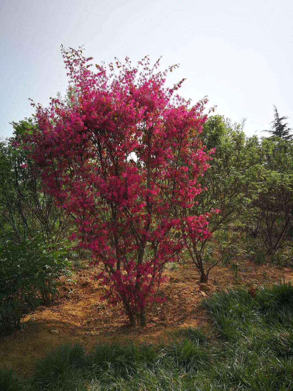 wTs5hSIus8UyGT6N3j7gJm4NqOwOUPu_tR0gfAQ7ZIHkFJXo3Dj9fwl7R2ye_I6M