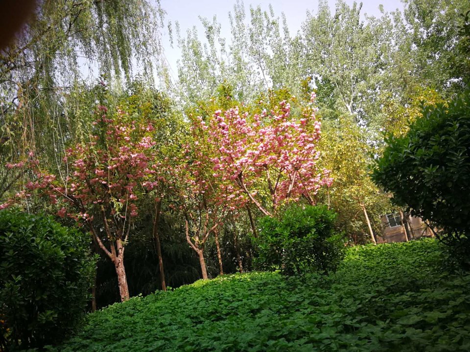 Dd1B-u7F1NaMKRwqhenoLCTEg1g8E8MTznGIaBHtJF6MwsSVTNC3VOylbUuLZxs9