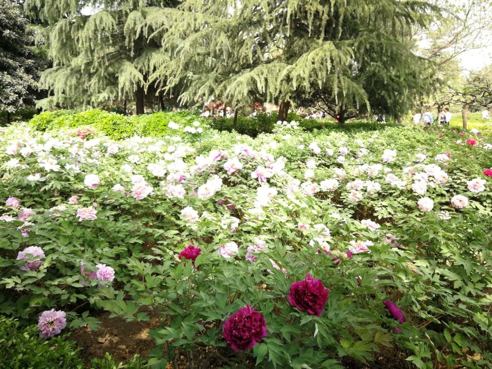 VeJapcmoKSIP1Tt_wNgKXmfszSR2fV9TLZYKYB5uTUQ8_zxxcaYuyCDz21_JO8x9