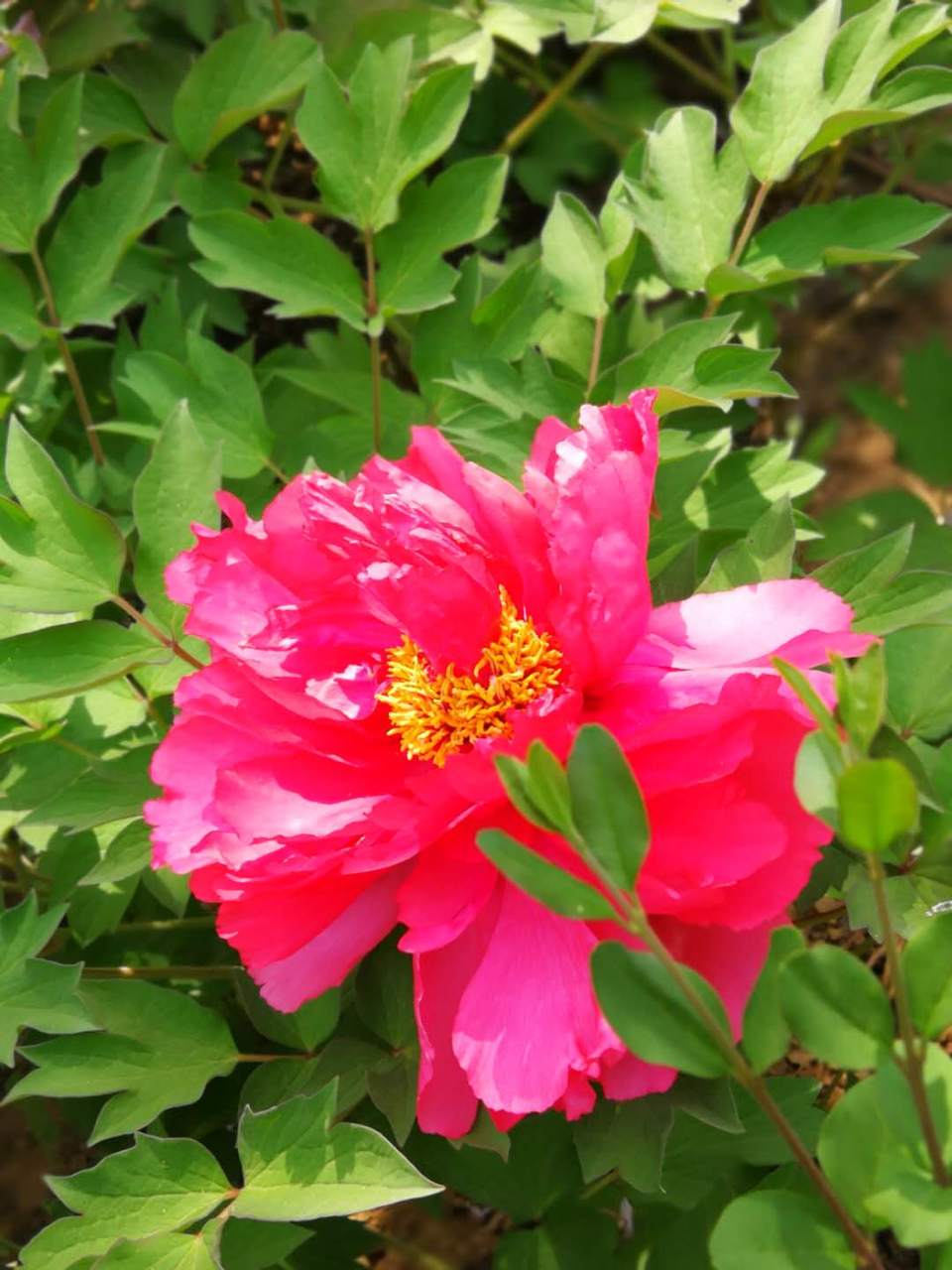 a5oIzjVcCO9FW-U3QCftRsPkLGF_Uwvpx_IHz387JwiEjIl32OWXPfqEl5Hk5vuZ