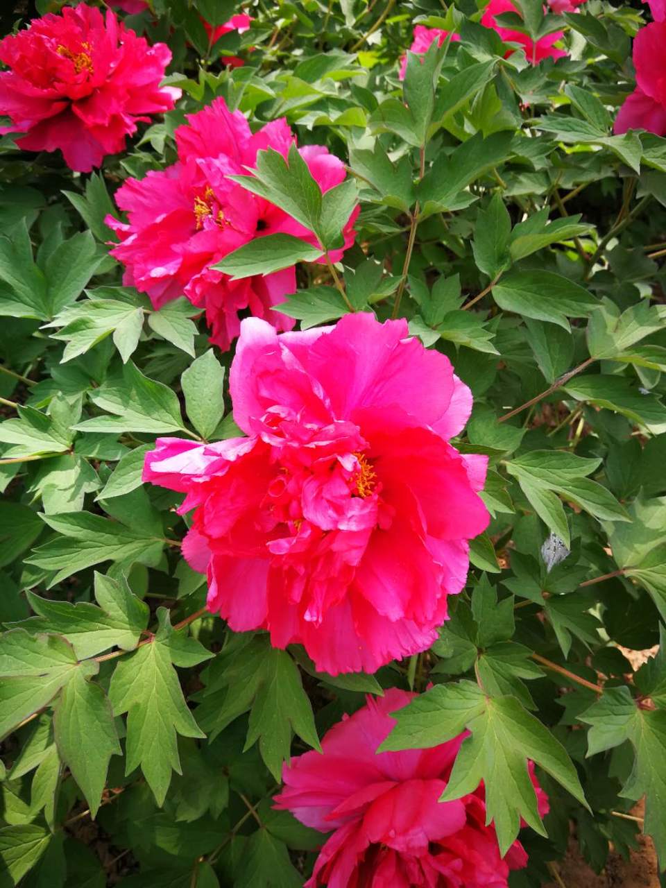 GTuDVN2POHJ3inCOZJn_9LqfPRxIWxumNd81kyAjbdO1Pm7LA46xUyBU6K8zFk4B