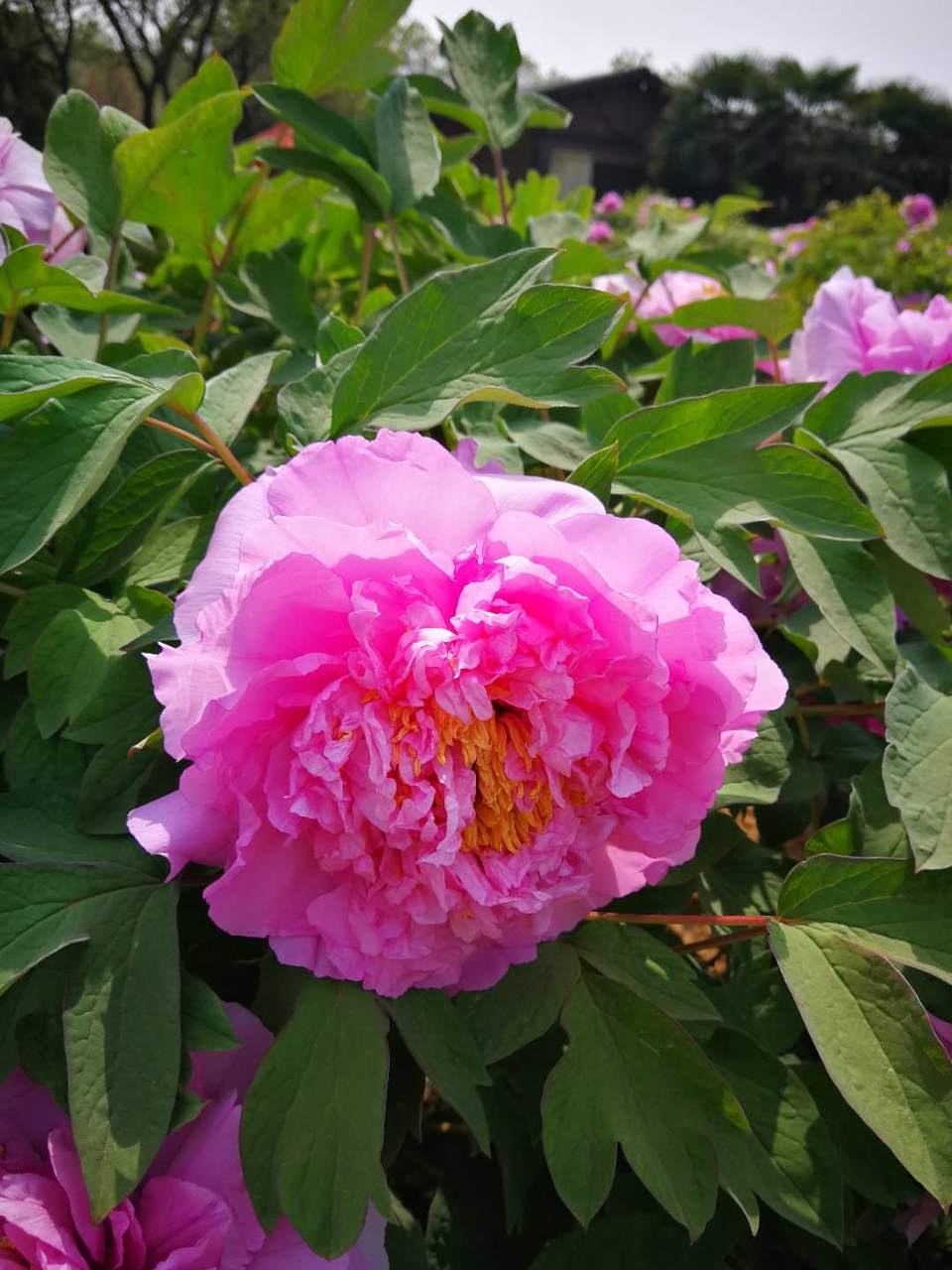 zW8buxEOo8U9aUGA6OMFnSv29iVFlPiDY6ZMxyxpHAoUbmlhjnwzC_JLijoyE8Tr