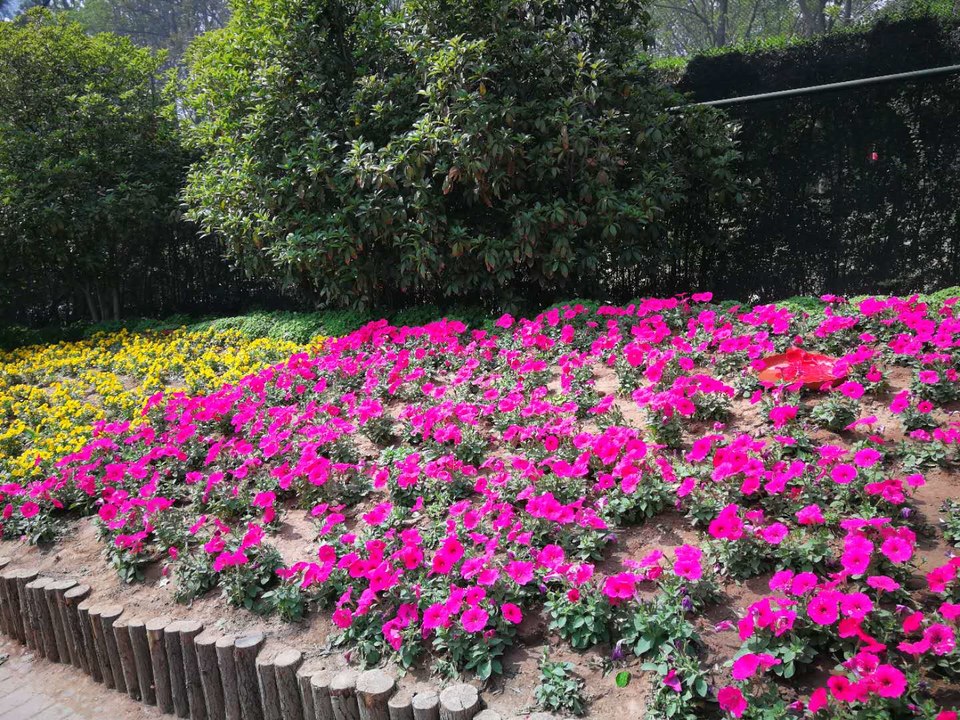 tl_88HhJfuqvl3y5LyMmLWJz3I8VGW-3Z908i9G-42ITIU7mY96-7EzfxpCgNAQQ