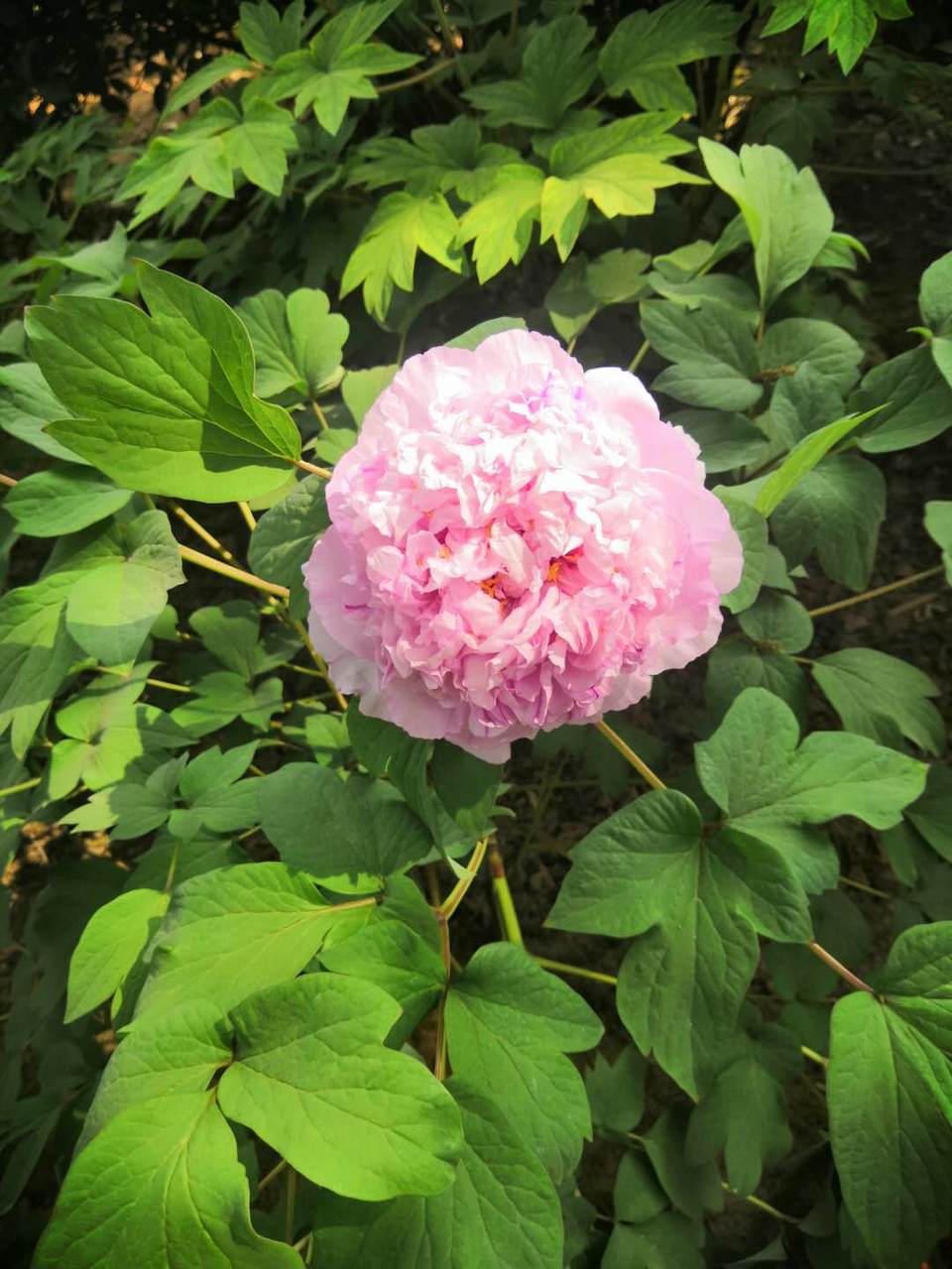 8zlHVyTrZOfSNFs91__KgSmhXTAgwMpyJBXkfS_XkDxcKw-num6iKBShiNzx3Rgh