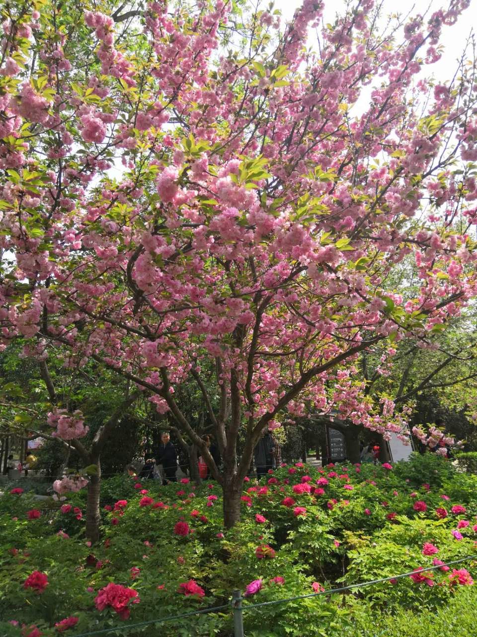 jfzHiYhdbqg_YbmB5OooJJYzD_yPdvVoH3NAFdbbsbwTc2Nfyv3TK1Q1WPpwoFVy