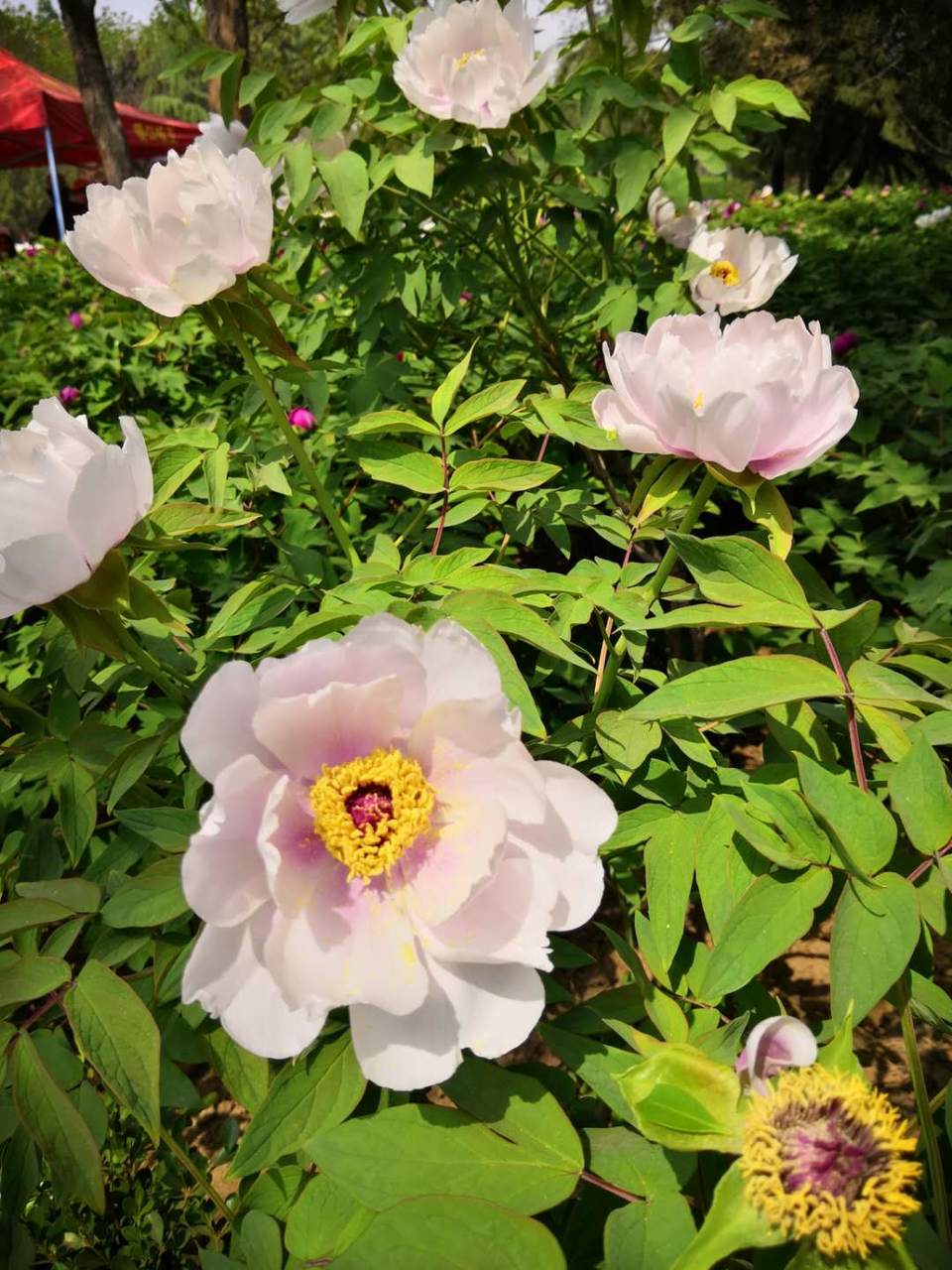 5a3KWCuX-7088qq37LhNSMpYQIKlguh-nl42YGr0T20WfIJe4i-cwuSHLFuSmxLO