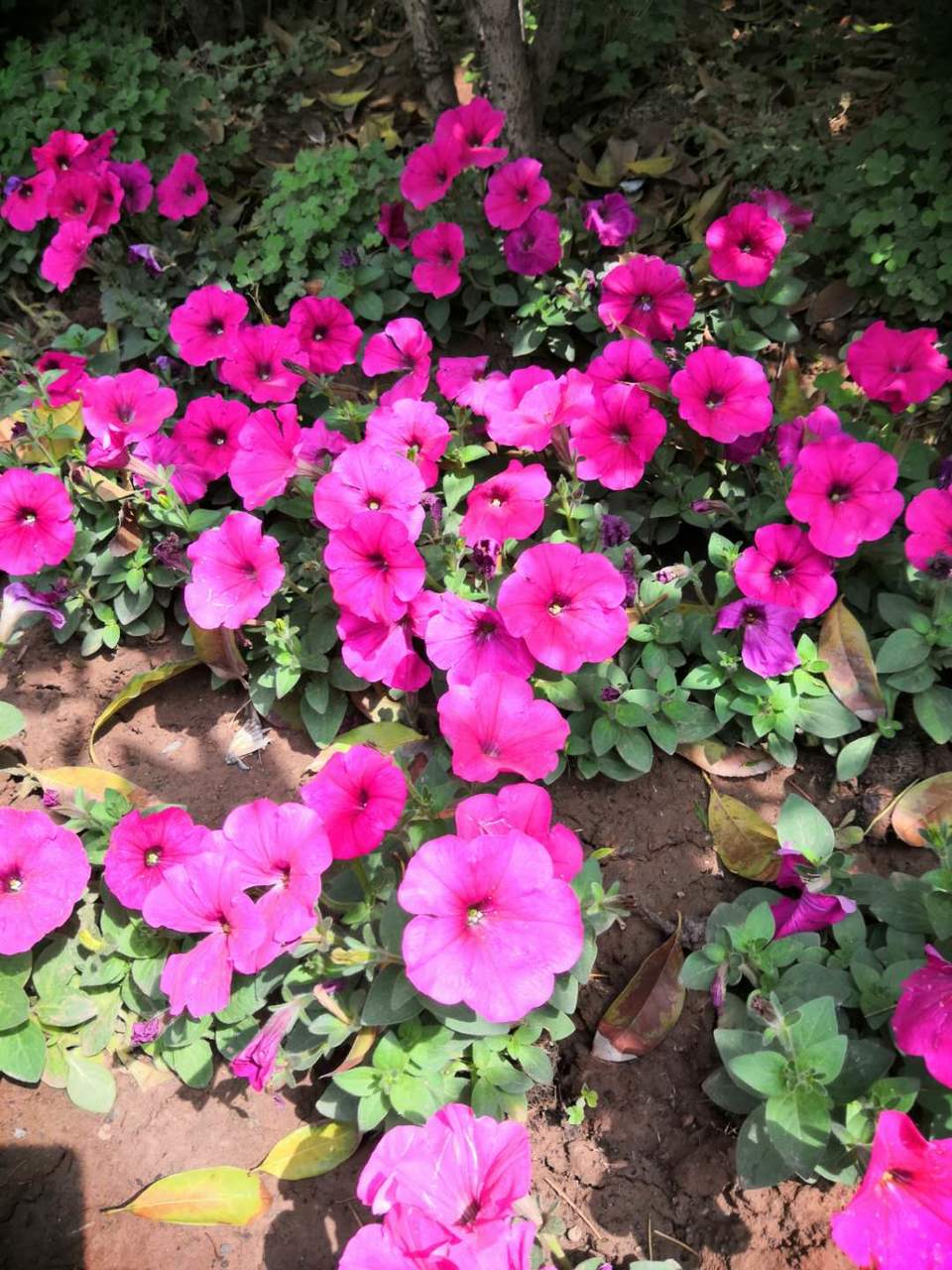 fHeWRB68fXKNnkGHaQ0edbdiVNvsvTivB5UzbF44CXXBapNtNb55NC74dnTFV7Px