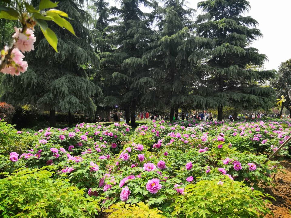 C_vKk1_6YMzpglcTt0xEOi-uHfRzLxMEwaPzaj-bw_pMk3TFgTfuOpHyR_IjDISV