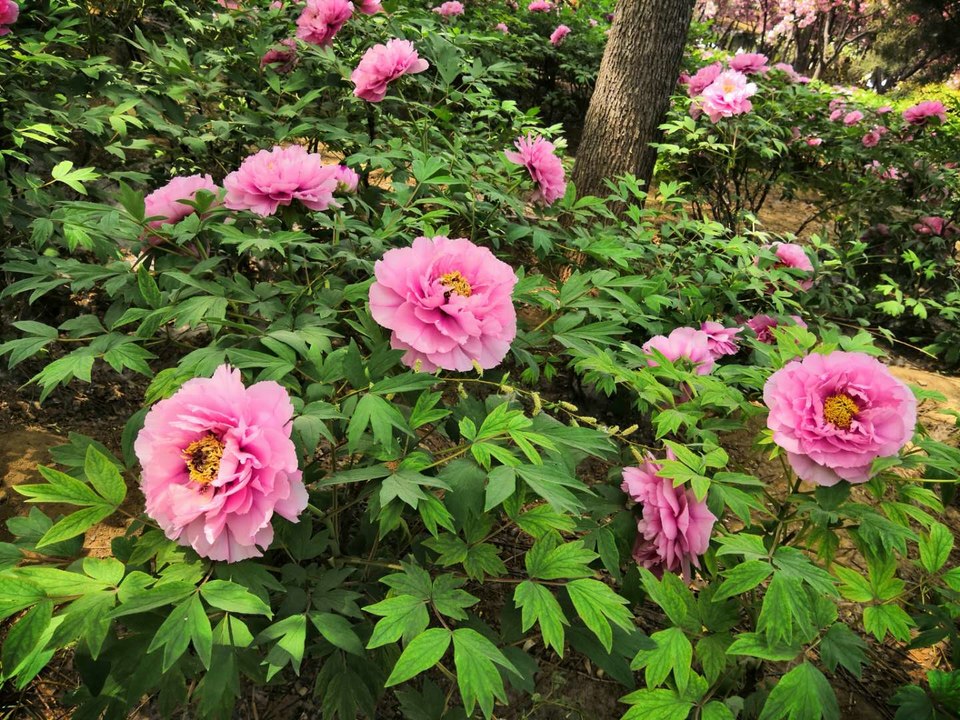 NlWvv2twxP9tjYgN-CnpDhzgeRK8SvdTT7CW6xrLAJ2DPaohTOOnp3lyILV__2-a