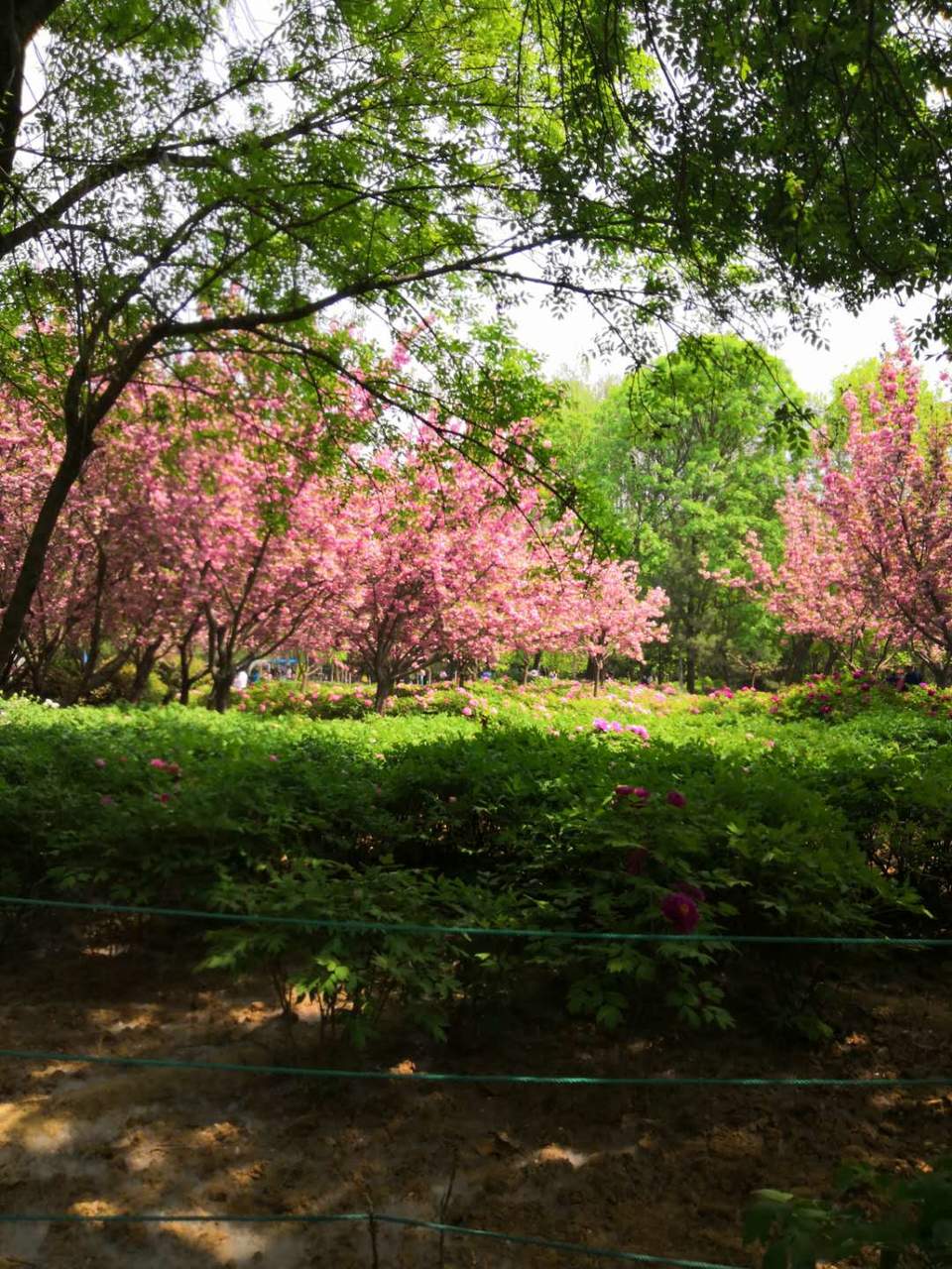 mI0u3hvdt6ZBfp5dPCcwFUamEvr6jsR28zTG-9YBToGpYhEjvRXGWLwkVkwjT1SX