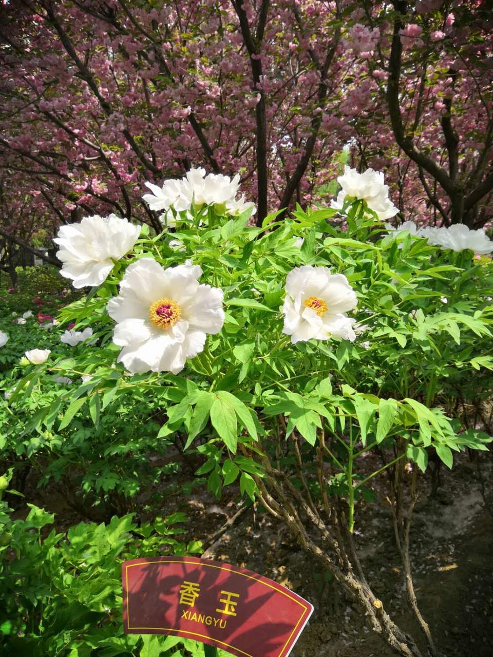 bqiwp_yFIKrT9r0GZvMdjBSQfEP1J-JD_vi_rISmoLZPubQmcdI4m5NrP6XuUMMT