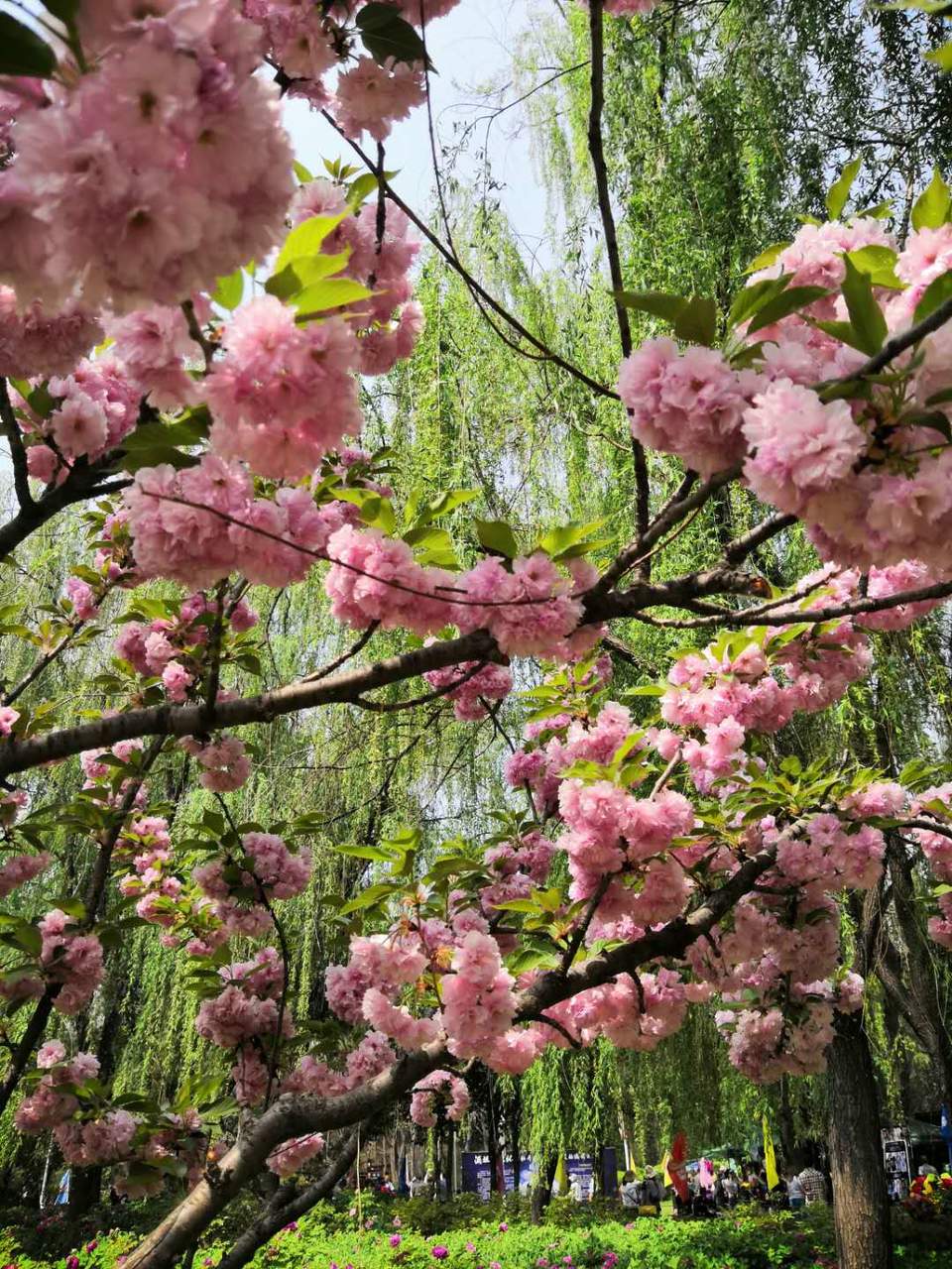 1WmC0VR6vk_g0G0QGh3L-4GaeVp41T2jj1uYYMlFr_gyrncCQCn44PbSFwM1Pw_N