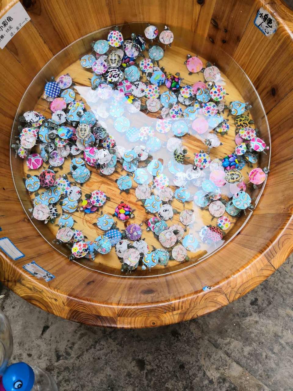 U0VJR4VVsanAWtWjLm_czWU0W3r7c_Wp4nvWQwP1NMeSfmKRH55zNl0Z7MTguOJB