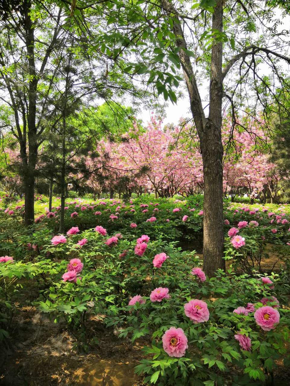 RpGqwh-r8bF3TcHqFOhtKuHiLwhm4k08VtCm5lamyFsqbENnQX0C_XO1FCRCO4qX