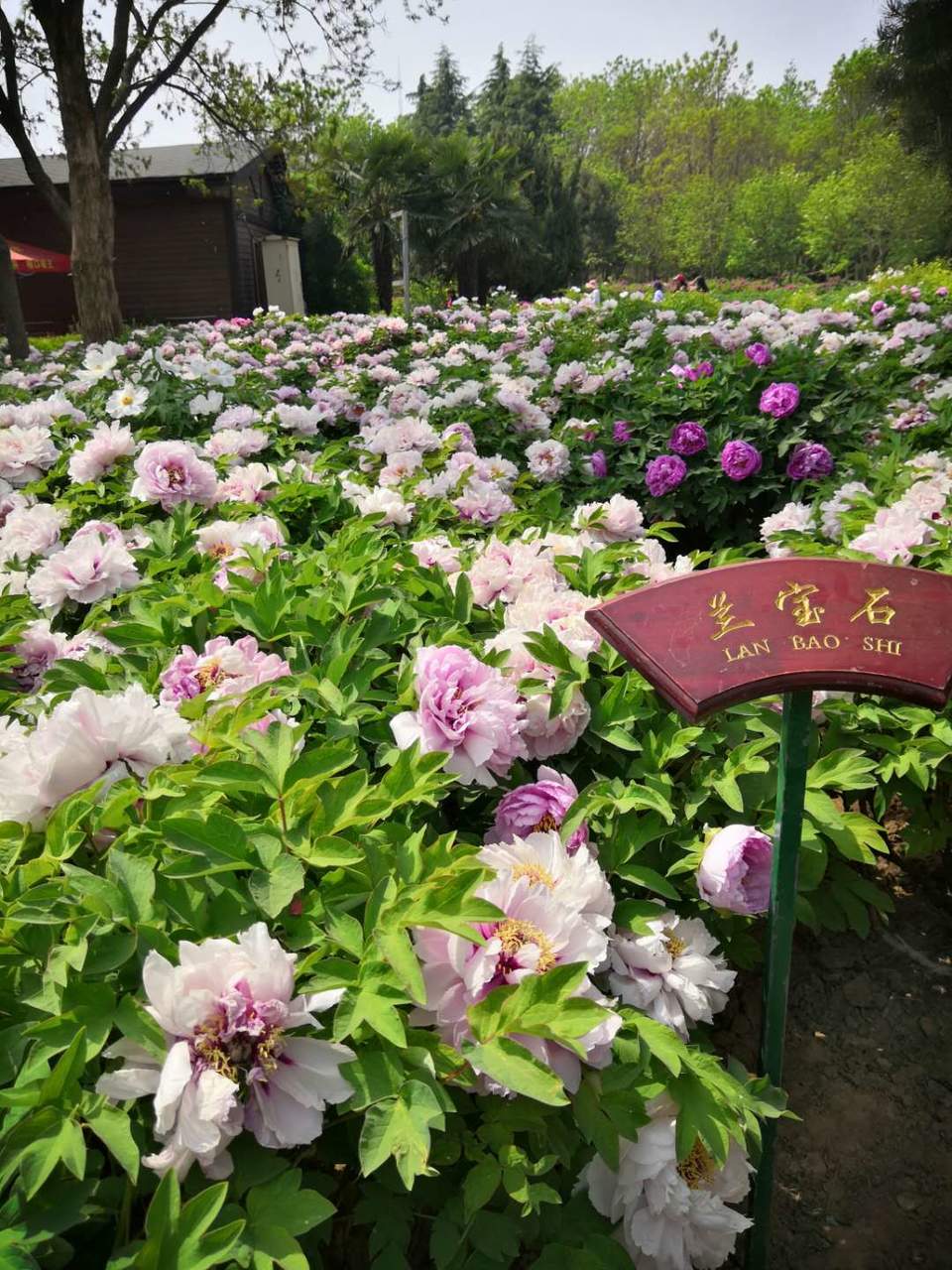 mqrVdhEwA64S_a6ruUhMjSyKKyRyJ8WdD-WEBmjaiexVH0Nm_JYZFABqiN-mxM_n