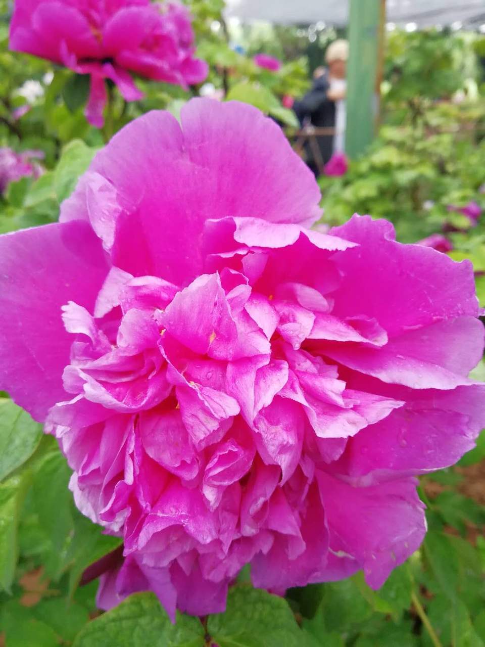 f7habJtp7UweXs2F0UibOWueVs7lnLM6glhFFIKnewAXg0TEWq_Rgk7wUt0NuPzb