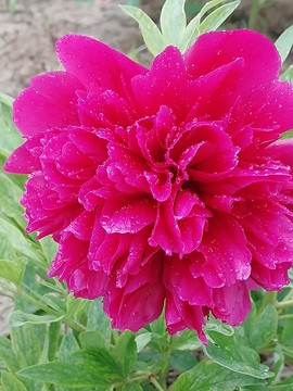 wj8b34WmxvTzx-lgo-2w5W67GiFiMlZVaecehtgkVk6CaMPzGEKHV65txD-ulKqK