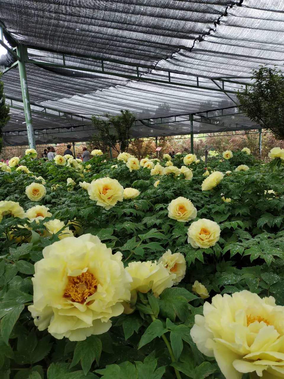 1PPnQ-13n7sRJjbraDSEYSh_Ifl7-7kT_0pDYpmRTP5XyUXlRU9YNasGec1EB6bL