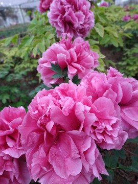 zLOtEKt3XyOuiIbLMTPpIgmQiyp6QQEZ8A89XZXD0_tuElEHwkVhnwiHr3AD_LYA