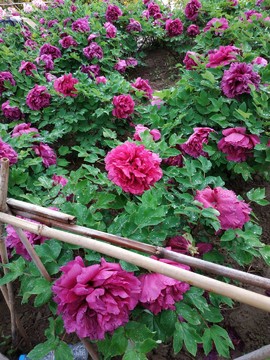 6lwFO0-Q5vRD6B0mziDnNKXbF0uPEQjecmA-KrDFDP92YJ2bYy1Wos1VgCQDh3xC