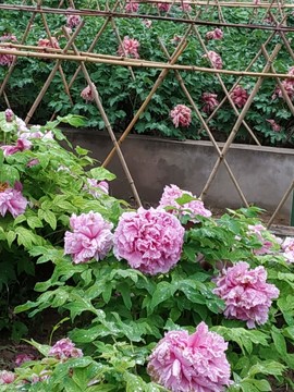 hjFB-ZxiMT7Cr3iOS0lPQuOzgOcUR4dwNo8J5Bzai2OXXEAOTh-TSclE2kF3hWgf