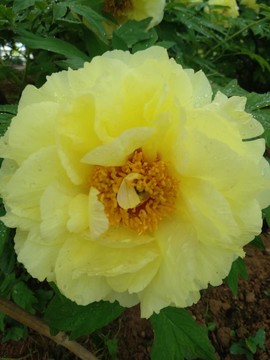 Ww_sBUv4aOg2x7p6tdWFek8o0W3qkmQed0rYrcnytnlwO_Llx_tqmR12qf1eEq1v