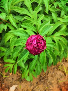 lgXIWVO53fuTv3W3GN_A4iL87eeUvQC9QSBYLDsBp--guDUxM9bfkGFevfiSkmzi