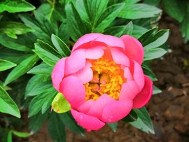 6hdq86TxV4f3bd-tWjUfpqylY5HrfcyB6xfTUBvLZdaQJAH1-7QdONQ7VnstEdmx