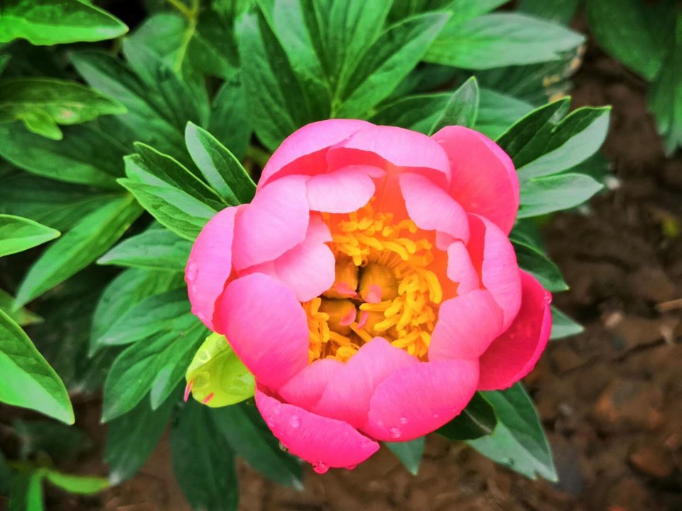 6hdq86TxV4f3bd-tWjUfpqylY5HrfcyB6xfTUBvLZdaQJAH1-7QdONQ7VnstEdmx