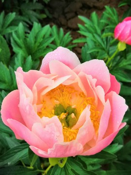 Y1qhZGH__ujH-Cwq0FUIw9-4k7zKvX0DPWRNuhVNrrq6S-tXegylFmLQJlSVDyqB