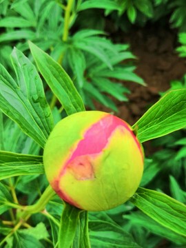 TRrn0Wp5vbq8_alKlu7L1406vfI1gDnH6qTKqeljXD0S5qRkmd84VTx4tsUfDAVk