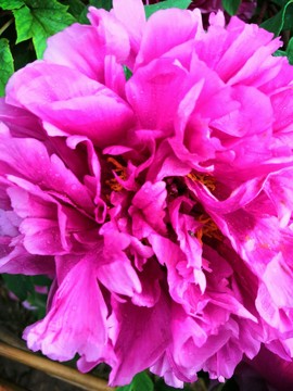 q-S_4MLr8KIboaBtKDer_VriMNQd_YppeDuGSKUcs3ycpKleSlRRdSiNtGpCmxnD