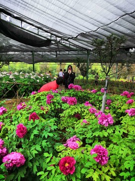 J7G8Ecwt3JvwDePF7dfzxt66hm9dgjyCBdZIrX7TDVCiwVNVE7_Sw9S8f19xLpWe