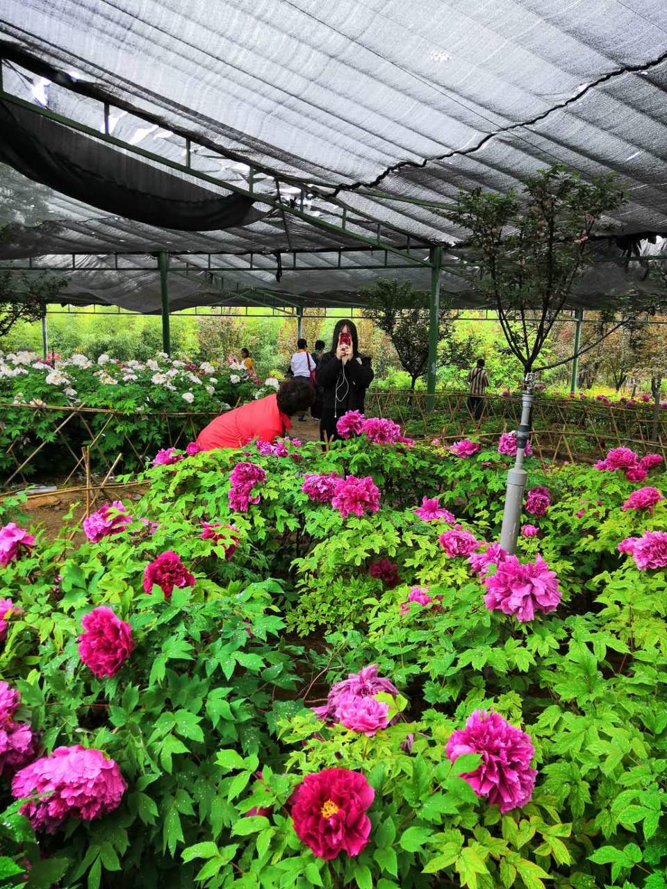 J7G8Ecwt3JvwDePF7dfzxt66hm9dgjyCBdZIrX7TDVCiwVNVE7_Sw9S8f19xLpWe