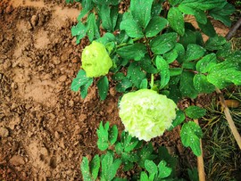 jAItGOnUdxx7TpSM2my1_vkwxjpr8mWidORKfsugxfjyE5HGqc-PadsQii4gy8nl