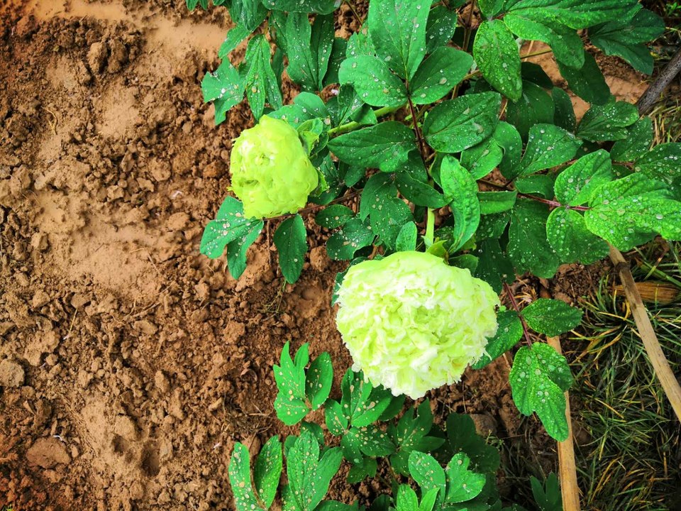 jAItGOnUdxx7TpSM2my1_vkwxjpr8mWidORKfsugxfjyE5HGqc-PadsQii4gy8nl