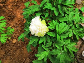 0SZCl7D7xTGPIzXZ7zGO8I83_eH53RHACGORDVn2N_VIeNAeNoQvdSLxPrx2xFiV