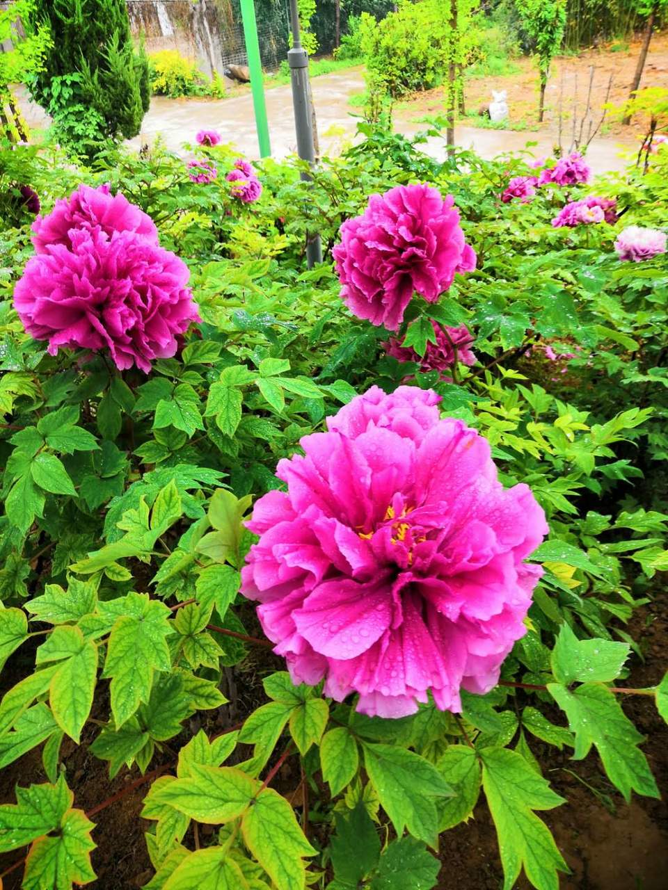 DP_AVsNJLPIpb6siBX-looOEKB3bnN7auHlmRWIZh2cI70nB5A771RV6Q2fcqkPy