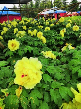 COcg6miZTGqmKfLnWvarKYHdhbdgc-0zYpBEZ_0Rv9ne8IMAnhN1kYO1jb9raVMY