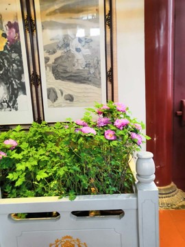 SSJXuXgAbL_9FTiLm5_lWB14fptwmiFrO0Nh2rf2vRKJvAJhDY7ffkLNsU-ApNAo